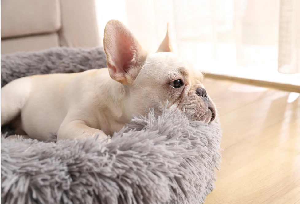 Long Faux Fur Fabric Dog Bed Comfortable Donut Round Super Soft Washable Pet