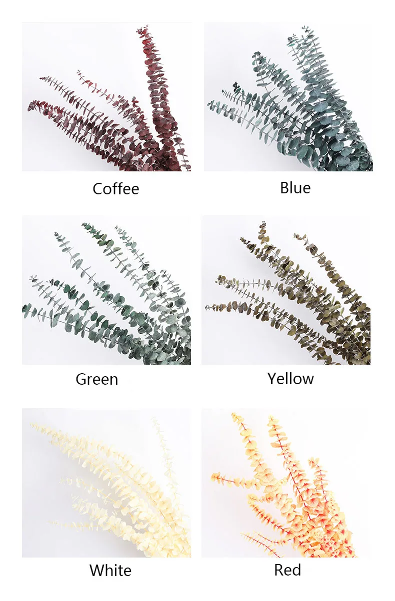 Wholesale decorative flowers Preserved  Dried flower  Everlasting Plants dried eucalyptus leaves Preserved Eucalyptus leaves