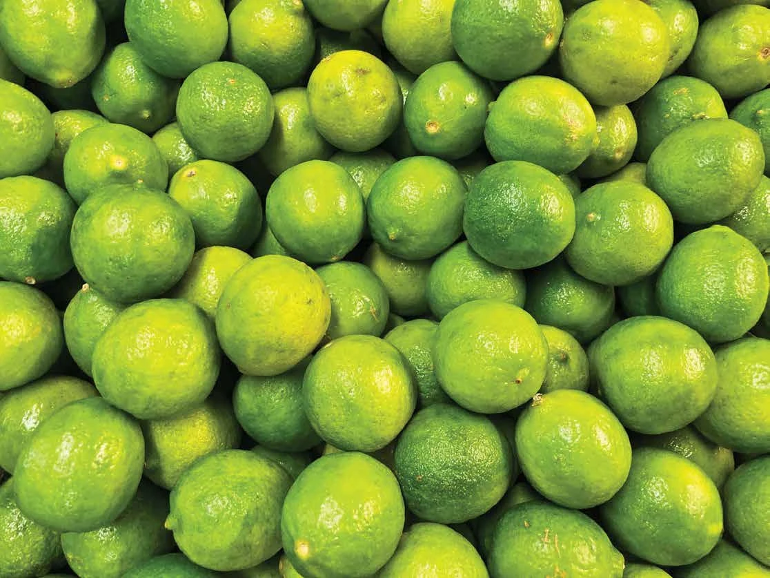 Vietnam Fresh Citrus Fruit -  Premium Fresh Fruit Green Sour Taste Seedless Lemon Lime For Beverages Juice Drinks