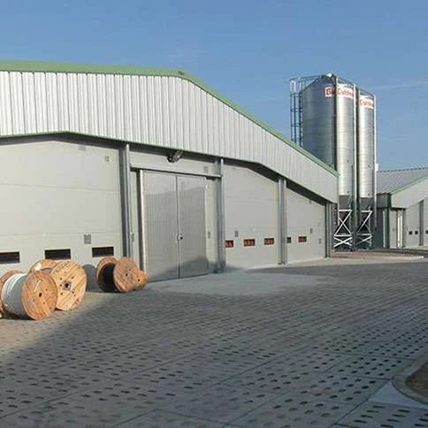 China galvanized Pig shed livestock pig farm house design