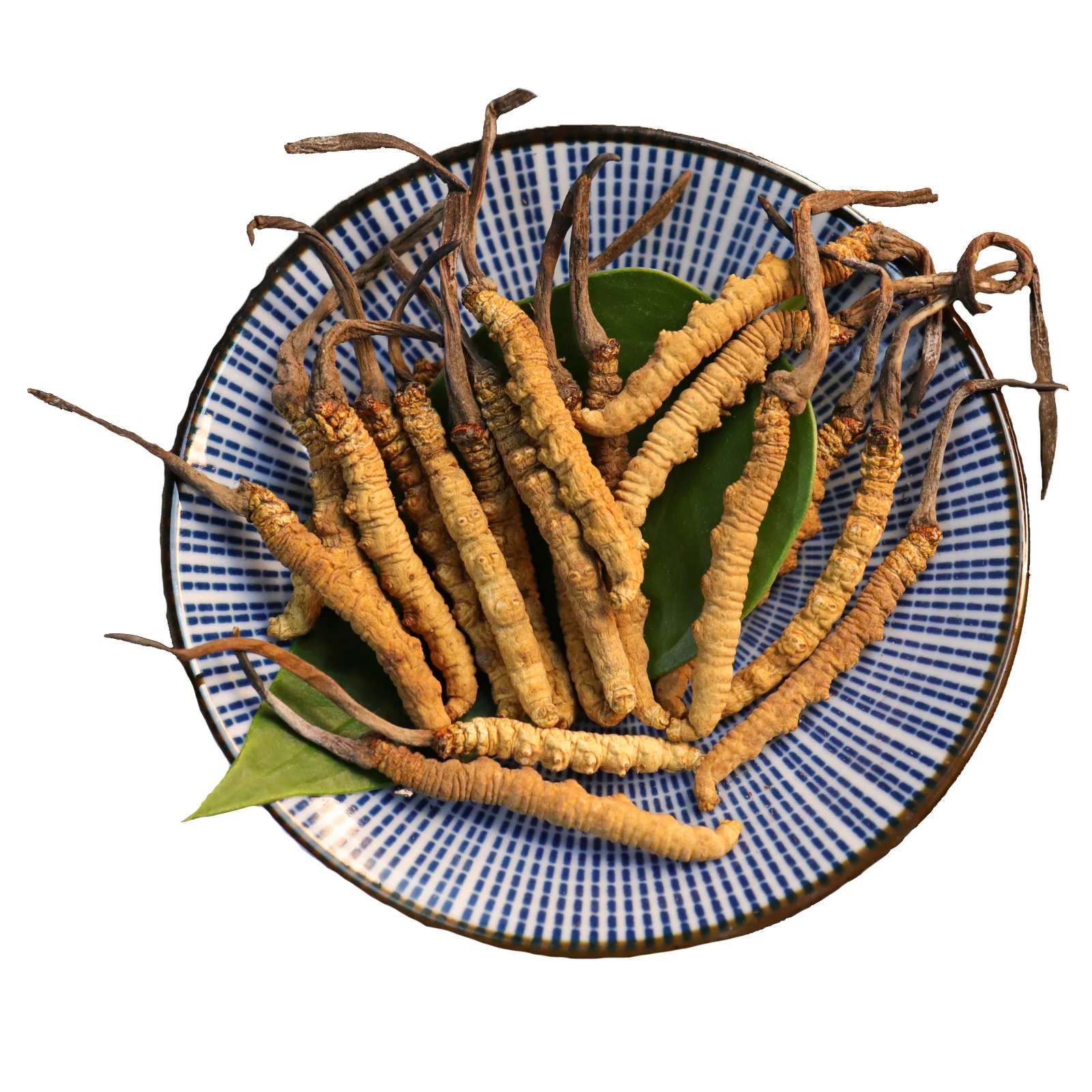 wholesale whole wild plant cordyceps mushroom Dried natural cordyceps sinensis mycelium