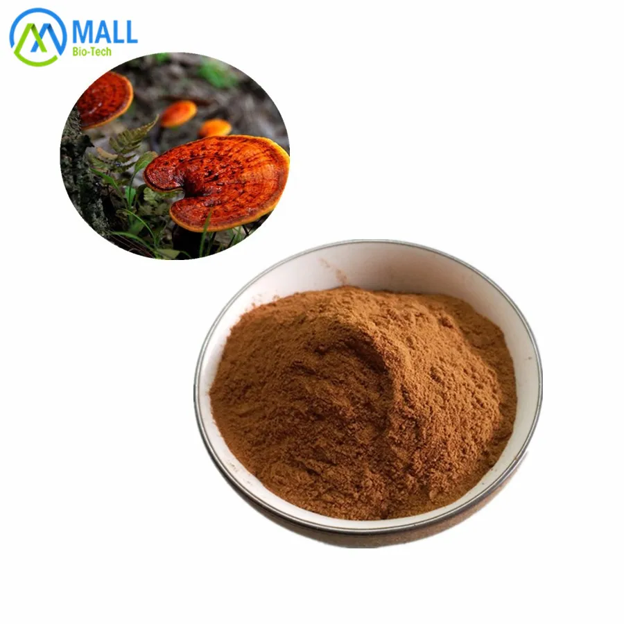 
high quality reishi mushroom extract ganoderma lucidum extract powder 