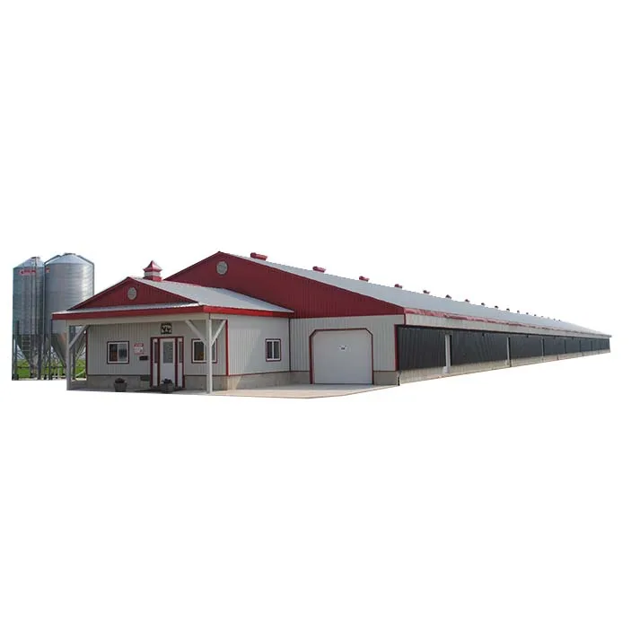 Poultry Farm Design Layout of Layer Chicken Farm  Business Plan Steel Structure Building for Kenya