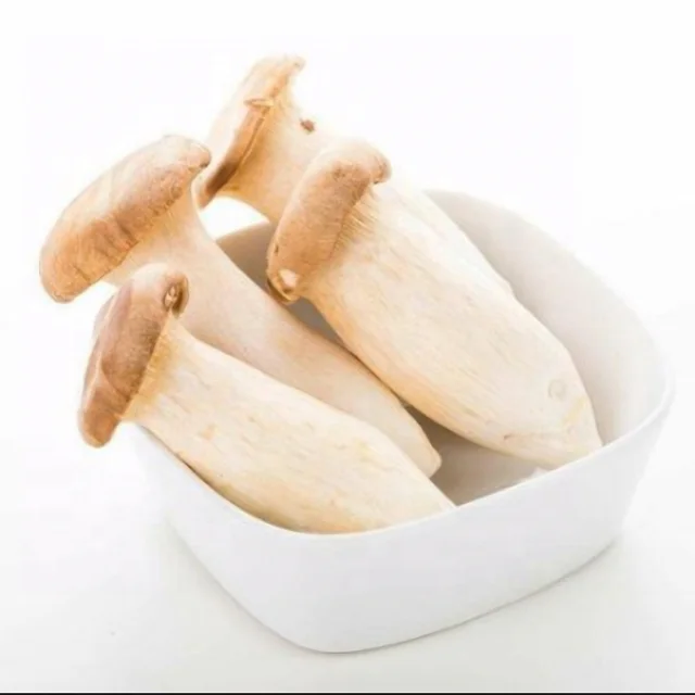 
Hottest Selling Wholesale Cheapest Fresh King Oyster Mushroom 