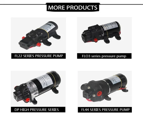 more products.jpg