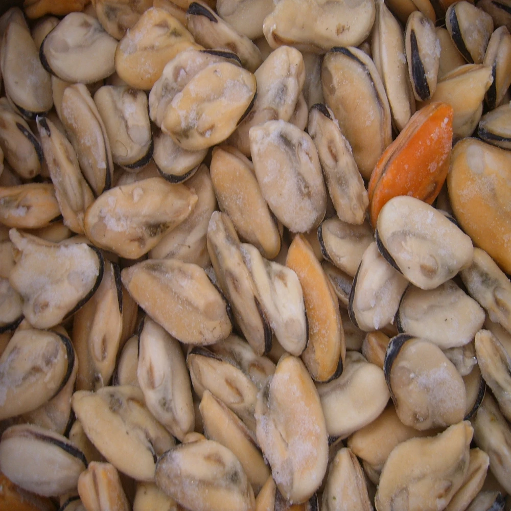 Frozen cooked mussel meat