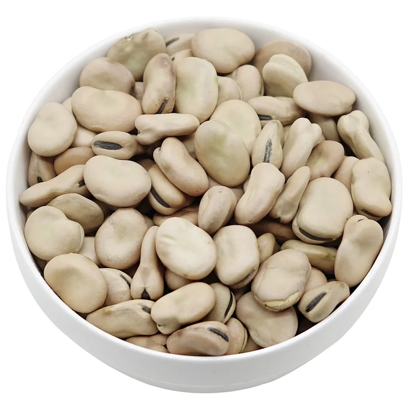 Dried broad bean for canned 45/50 50/60 on hot selling