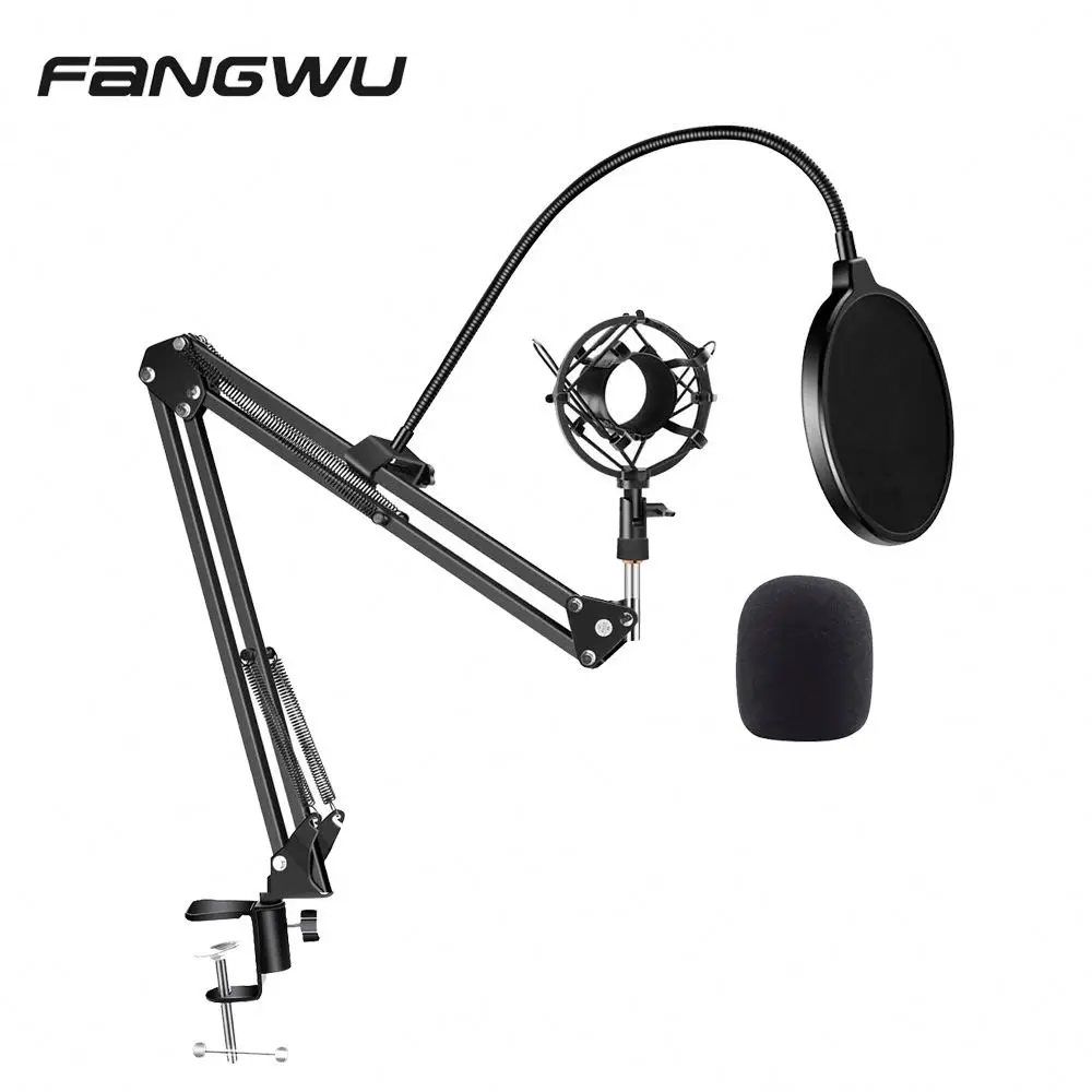 Professional Microphones Accessories Microphone Pour De Batterie Kit Arm And Antipop