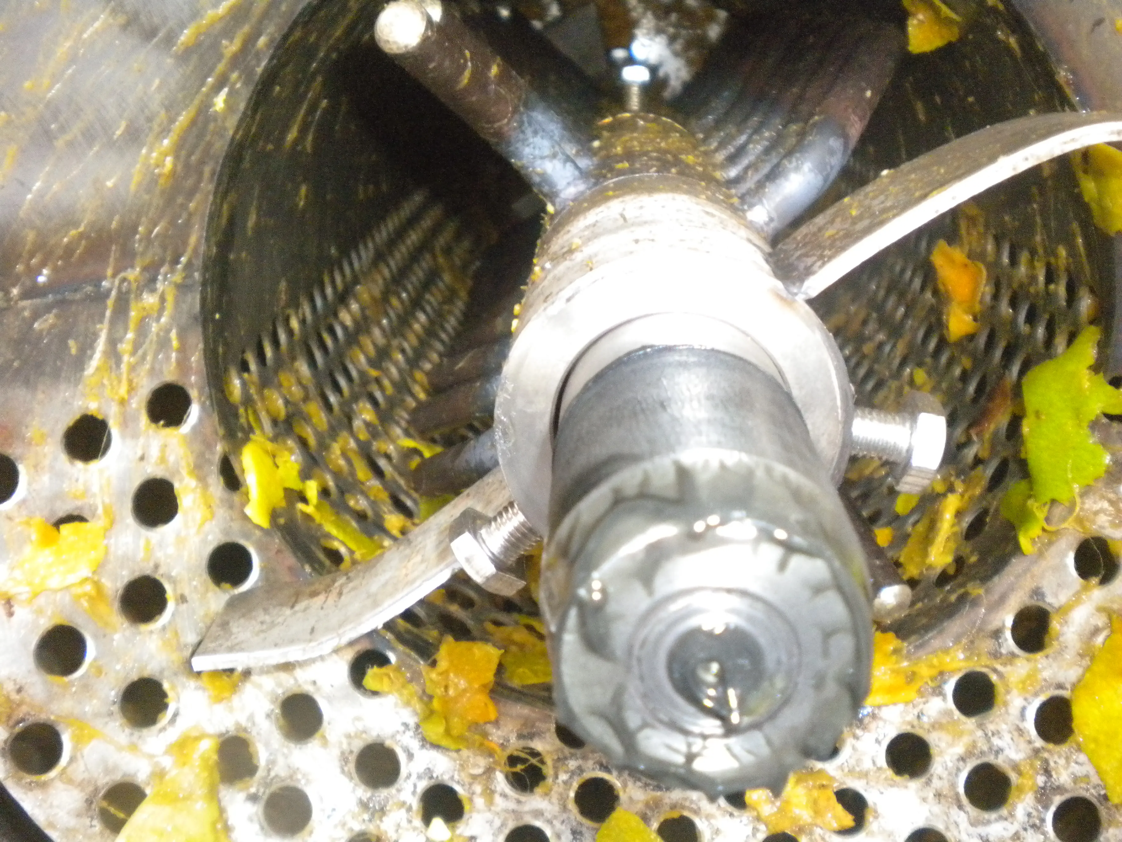 Tomato mango juice pulping seeds extracting fruit pulp juice making machine