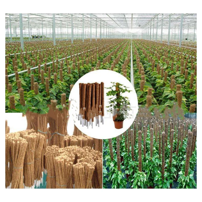 Bun Moss Pole Mossstick Peat Spag 14 58 Houseplant Poles Stick North Plant Pins Ties 5 Orchid Stake Totem 36 3D 48 Flowers