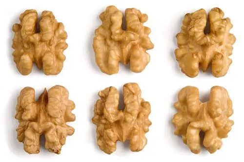 2024 walnut wholesale kernel walnut Factory price Food supplements walnuts  peptide