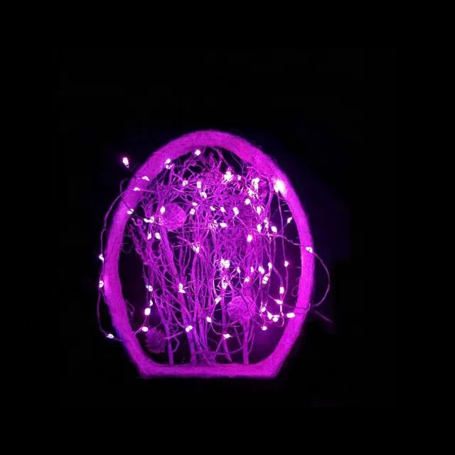 Dual Color LED APP Control String Light Indoor Outdoor Decorative Fairy Light with Timer/Remote/Dimmable for Patio Party