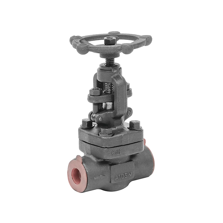 
Forged steel globe valve 800LB socket welded gate valve 