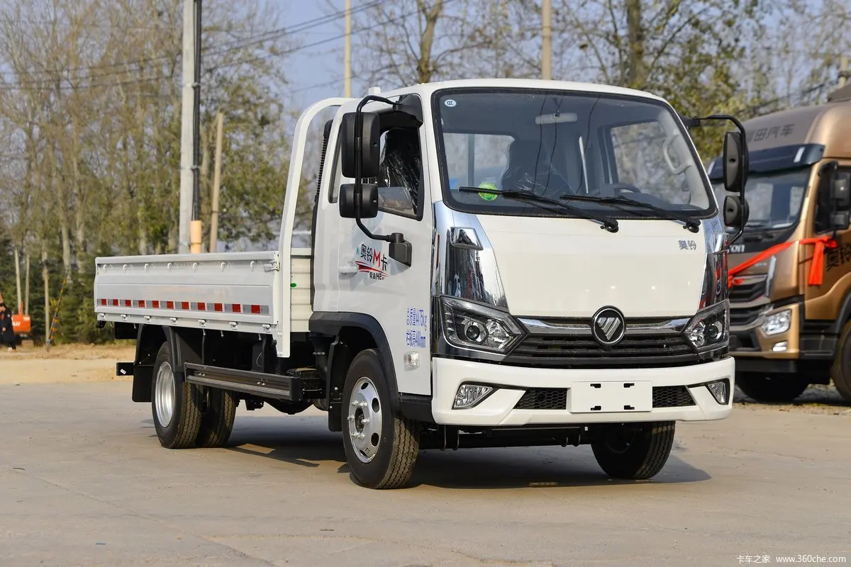 Hot Sale 4X2 LHD 1.6L 122HP Petrol Small Mini Light Foton 3.3 Meters Cargo Truck