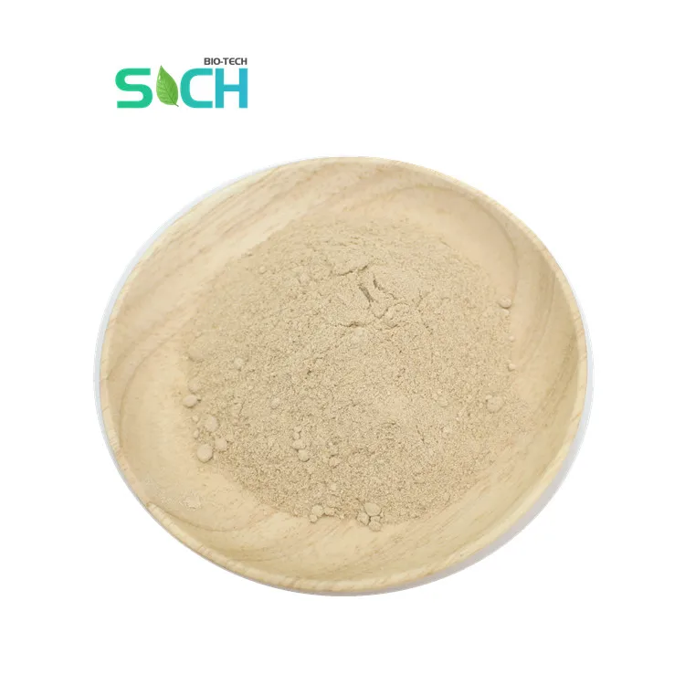 China Supply Food Grade Fungal Alpha Amylase Enzyme Powder For Baking Industry