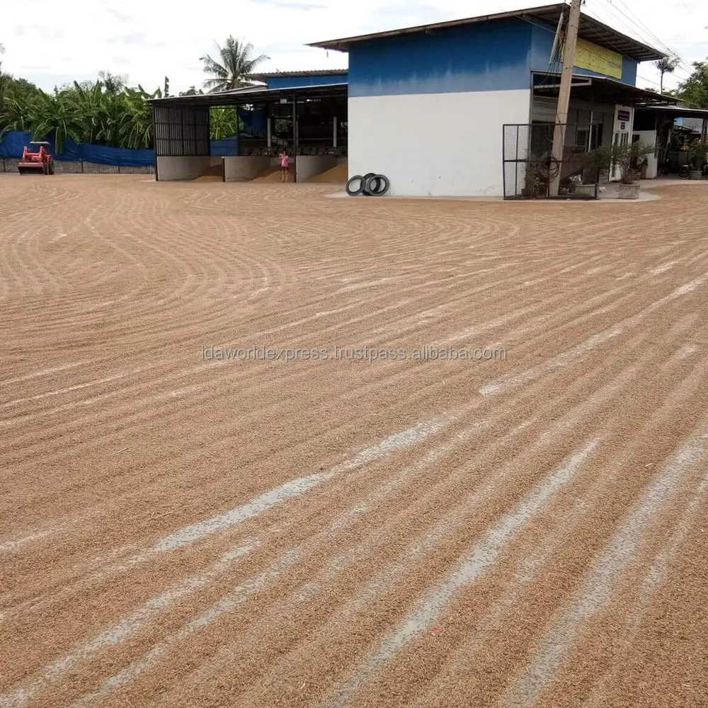 
Thai Hom Mali Rice Healthy Thai Rice More Benefit Than Brown Rice 