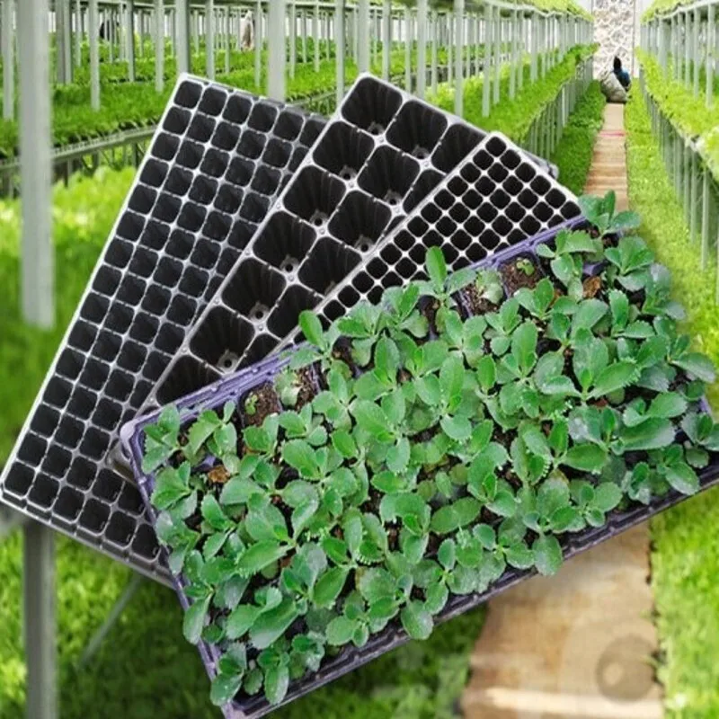 Garden Nursery Seed Trays Seedling Starter Tray Humidity Adjustment Domes and Base Growing Nursery Trays Kit