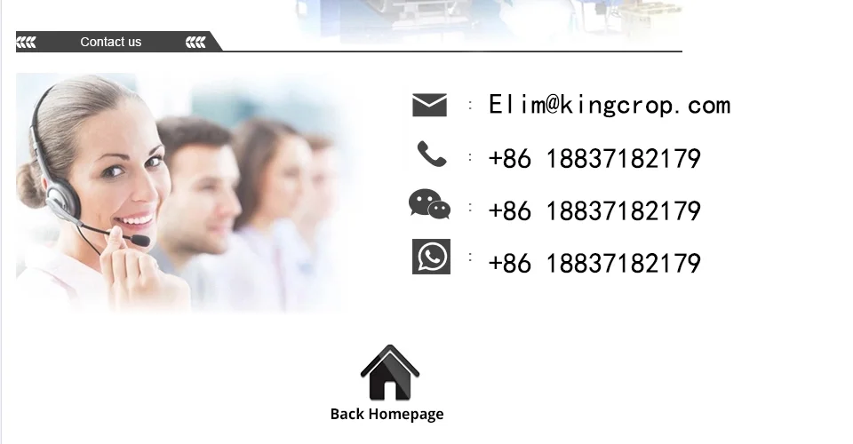 paste-pic-dp_uuid_b42s9