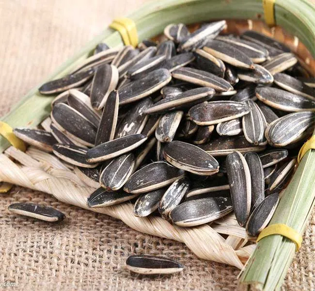 Go Raw Sunflower Seeds with Salt SEEDS Roasted and Salted