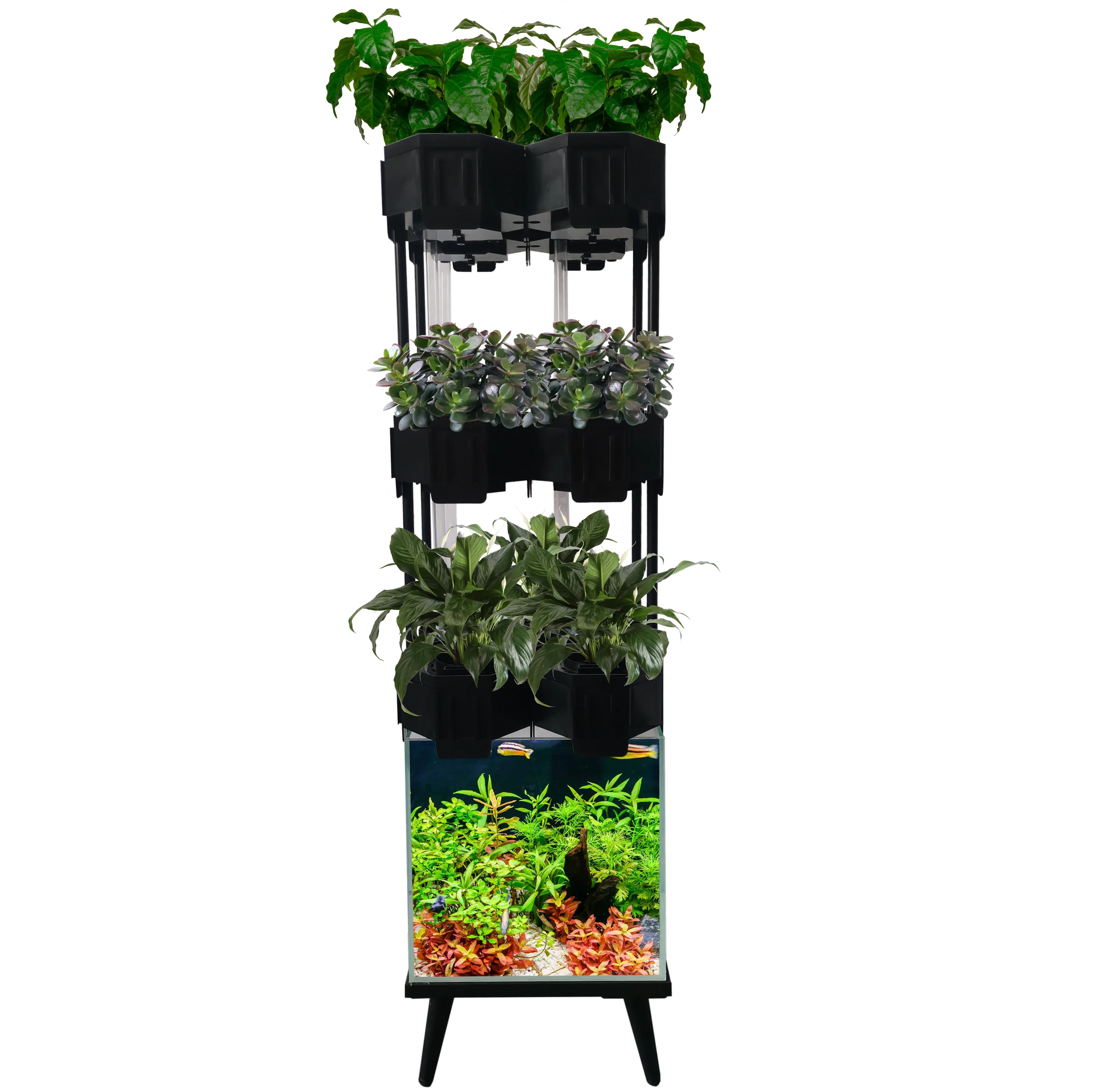 Indoor vertical aquaponics kits