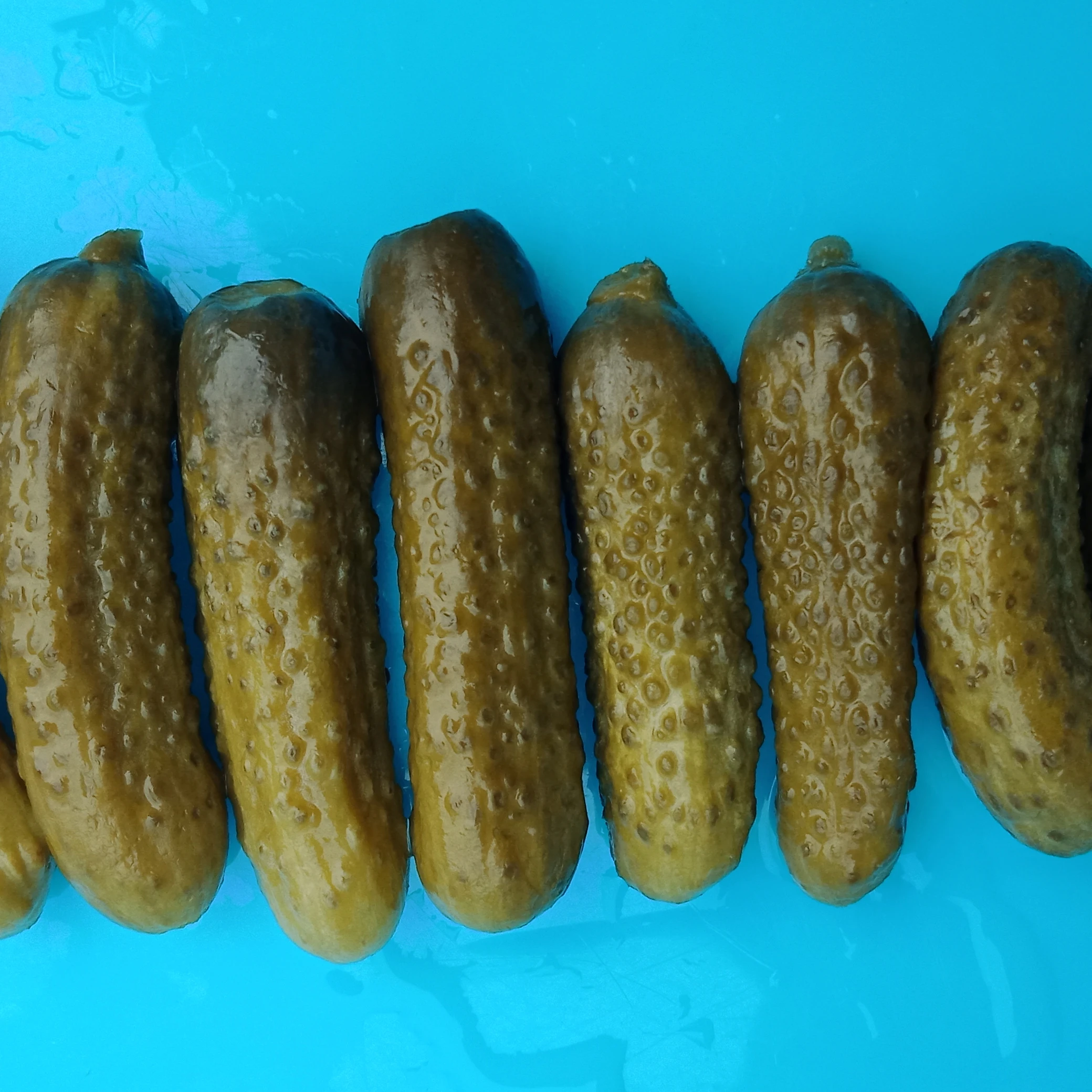 Перкинс в барабане рассоле уксусной