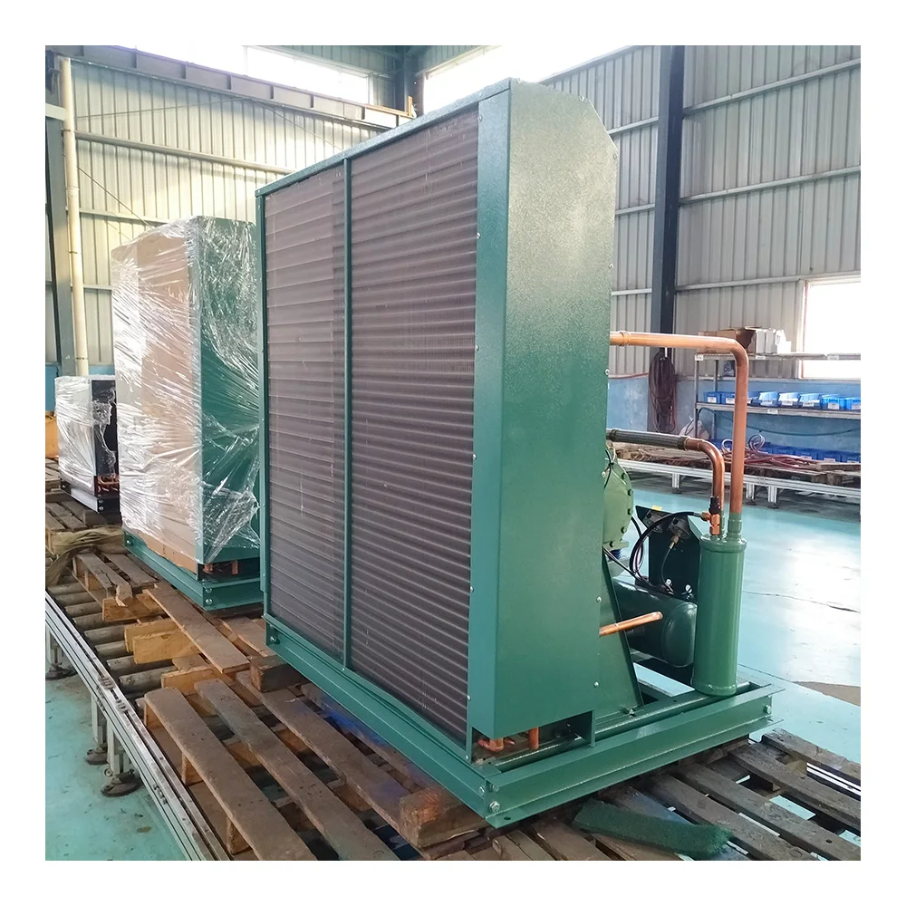R404a R134a R507a Refrigerant Industrial Refrigeration Condensing Units Cooling Equipment For Blast Freezer Cold Room