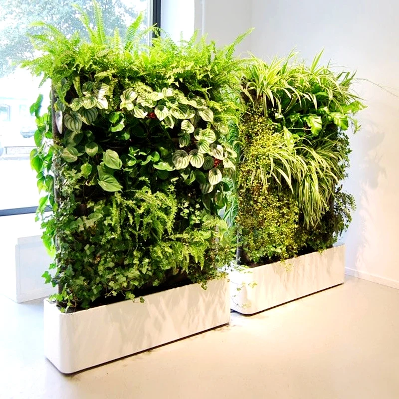 dry flowers natural artificial plants decoration
