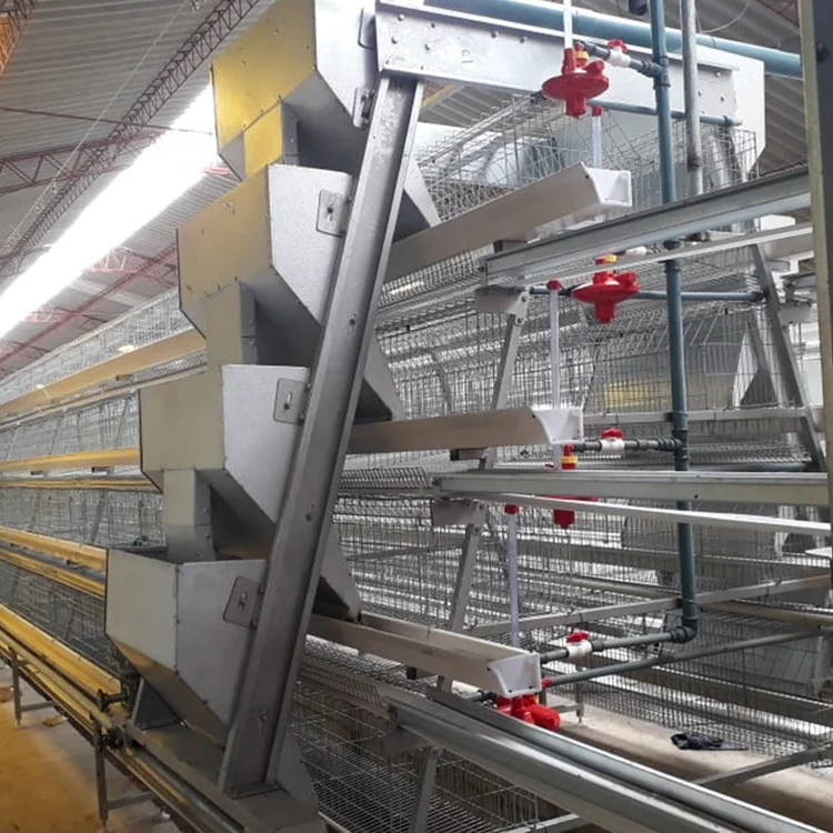 Automatic Poultry Farm 3 Tiers Galvanized Animal Ladder Type Chicken Cages