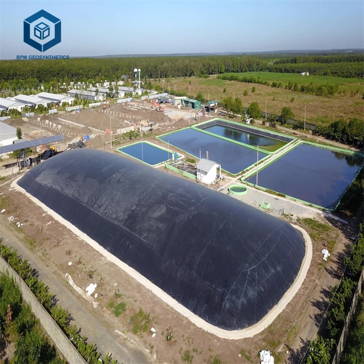 2mm Thick Waterproof Black Pond Geomembrane Liner for Biogas Digester in South Africa