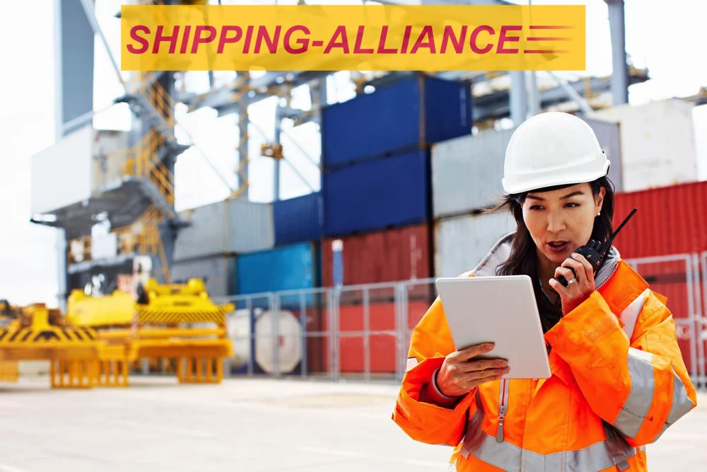 Sea Freight (Ocean Shipping,Sea transportation,Container ) from China to Niger:  Niamey  Zinder   Maradi