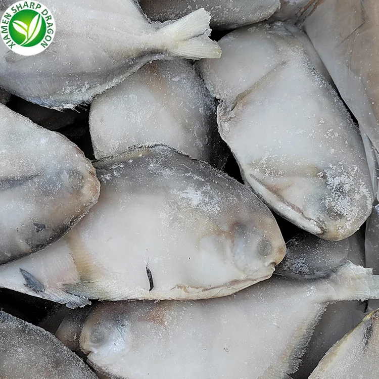 SD 100-120 Frozen seafood Frozen White Pomfret