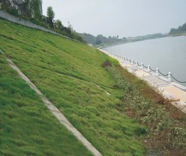 3D Geo коврик/сетка для посадки травы 3D Geomat/EM5 для защиты поверхности