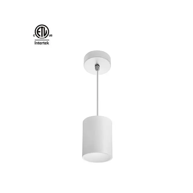 SZDAYTON Lighting Master D IP65 Series wide power range surface mounted led COB downlight 15W-90W cylinder pendant downlight