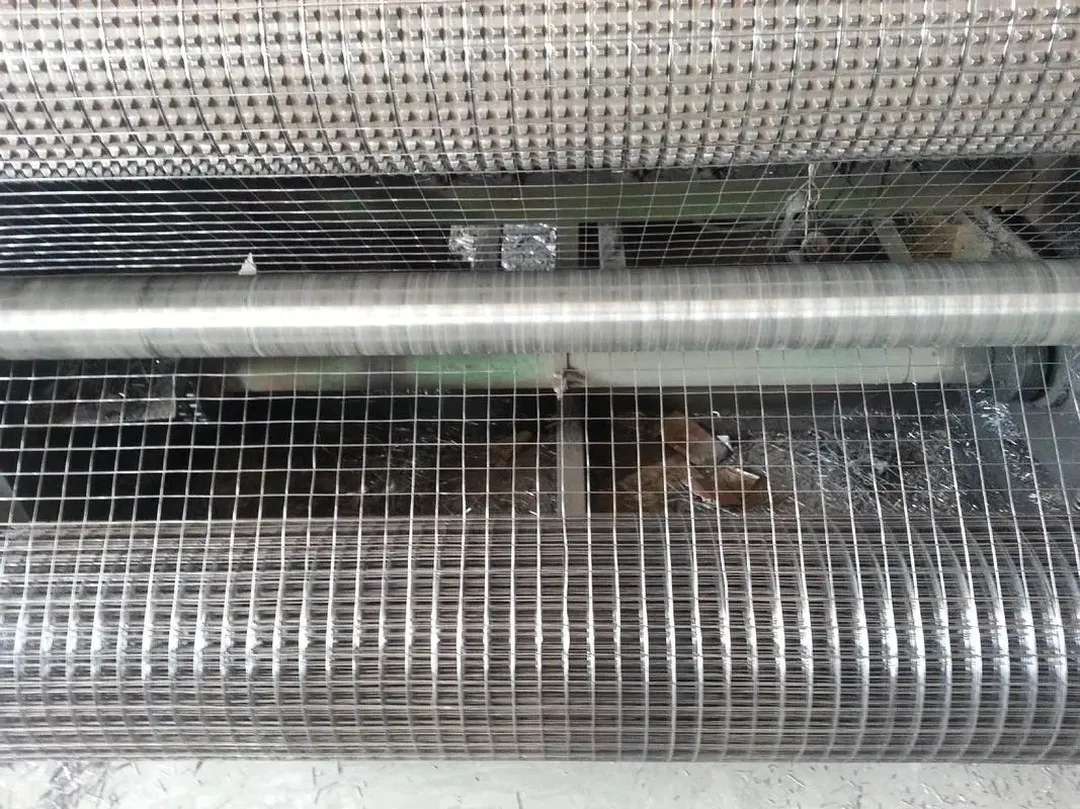 Galvanized Welded Wire Mesh for Fencing (Anping