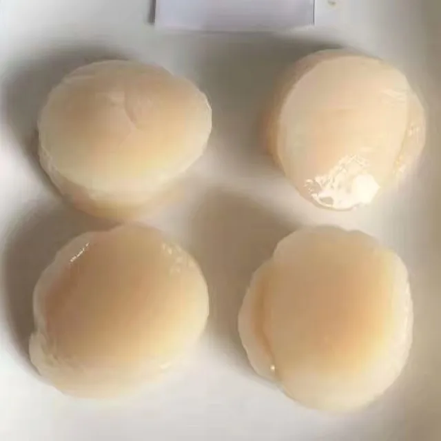 Bulk Packaging bay scallop