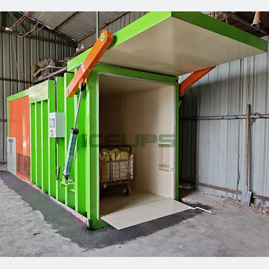 ICEUPS  2  pallet Vacuum cooler for fruits and vegetables