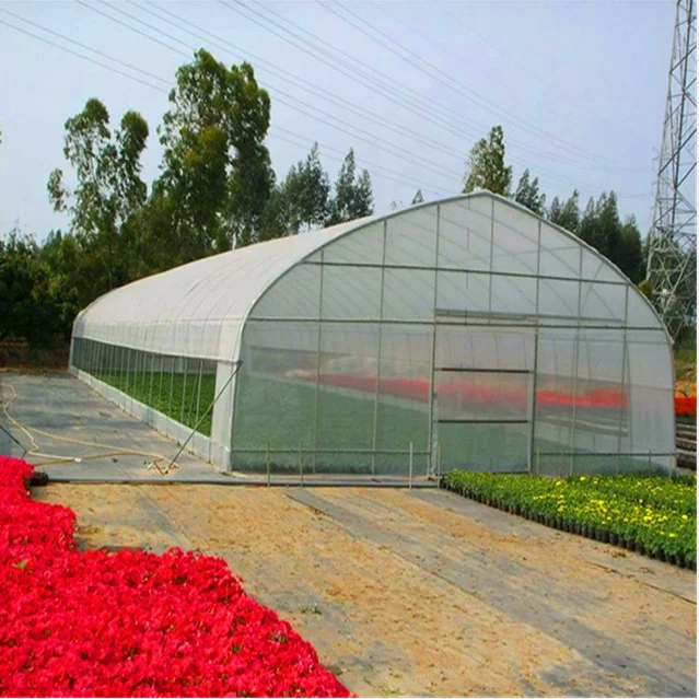 In Stock Fast delivery Commercial Hydroponic Plastic Film Green House Holland greenhouse tunnel plastic greenhouses for sale