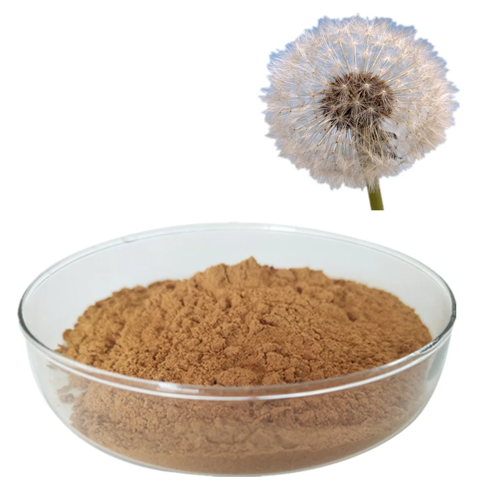 AUVO hot sell dandelion root extract 5% flavone natural dandelion extract powder