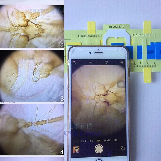 
Folding Paper 200times 1000times 2000times DIY Carry-on Microscope 
