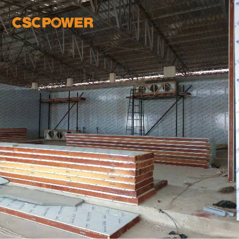 Cold Storage Solar Powered Industrial For Meat Vegetable Fish and Fruit Storage Walk in Freezer Solar Cold Room Freezer