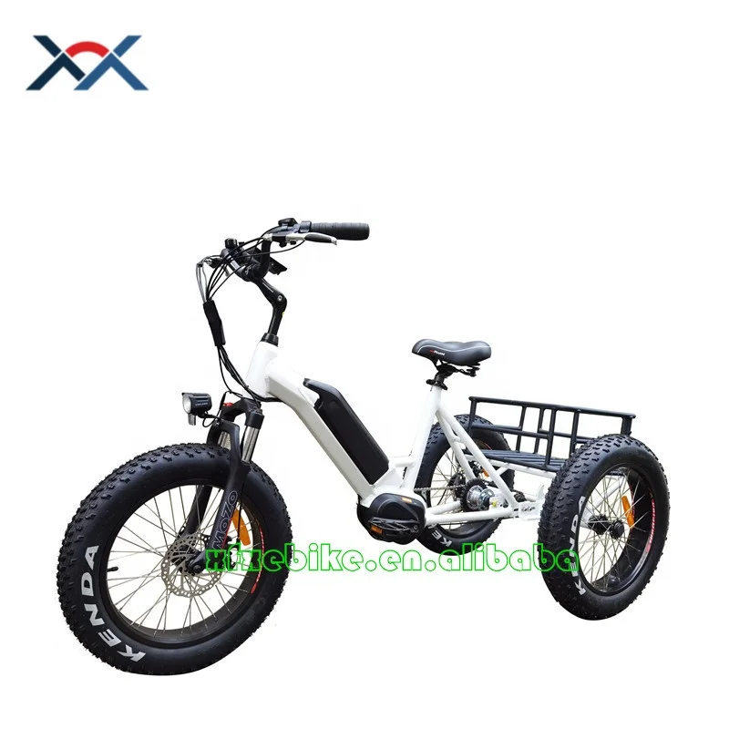 Xiaofeixia Ebike 3 Wheels Fat Tire Mid Drive Cargo Basket 350WQ/500W/750W Electric Bike Tricycles for Sale