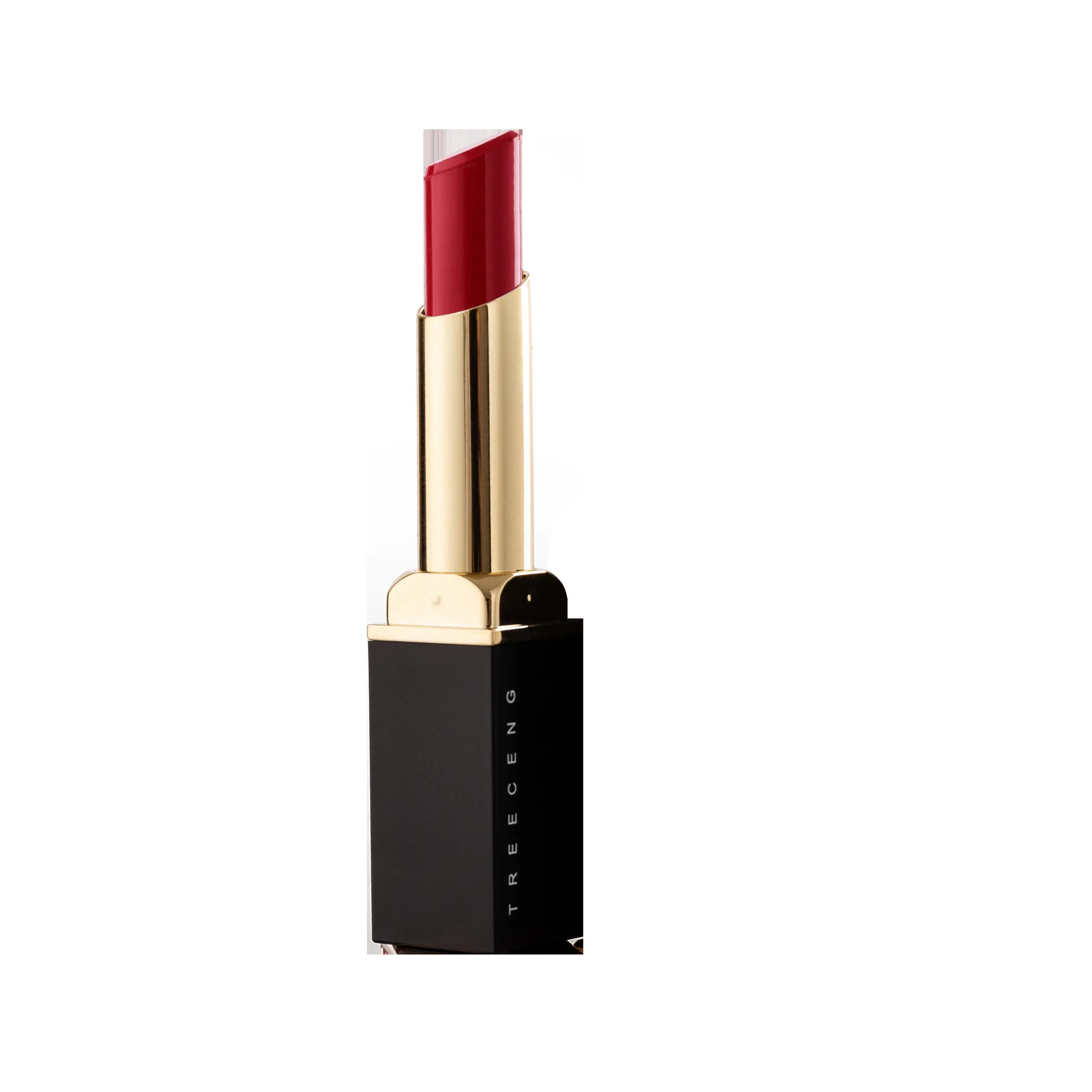 Fog moisturizing black body gold tube lipstick moisturizing female peach color makeup lipstick