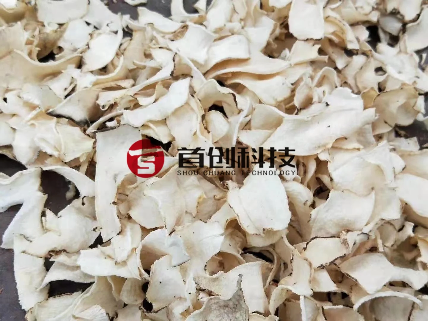 Shouchuang ODM/OEM Konjac Mesin Konjac Porang Drying Machine Dryer Machine