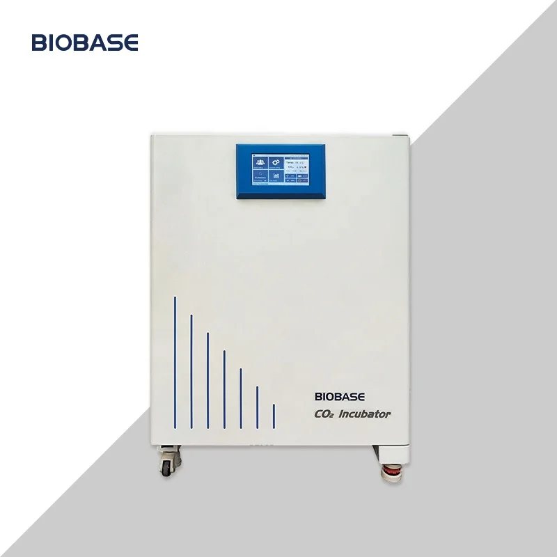 BIOBASE China Incubator Air Jacket CO2  Laboratory Equipment Incubator Price