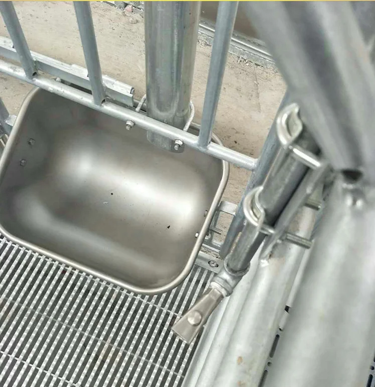 Popular Automatic Big Pig Hopper Feeder For Raising Delivery Production With Non Corrosion Resistance Crates