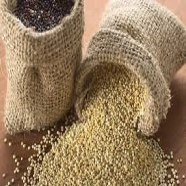 Оптовый поставщик фруктов Quinoa
