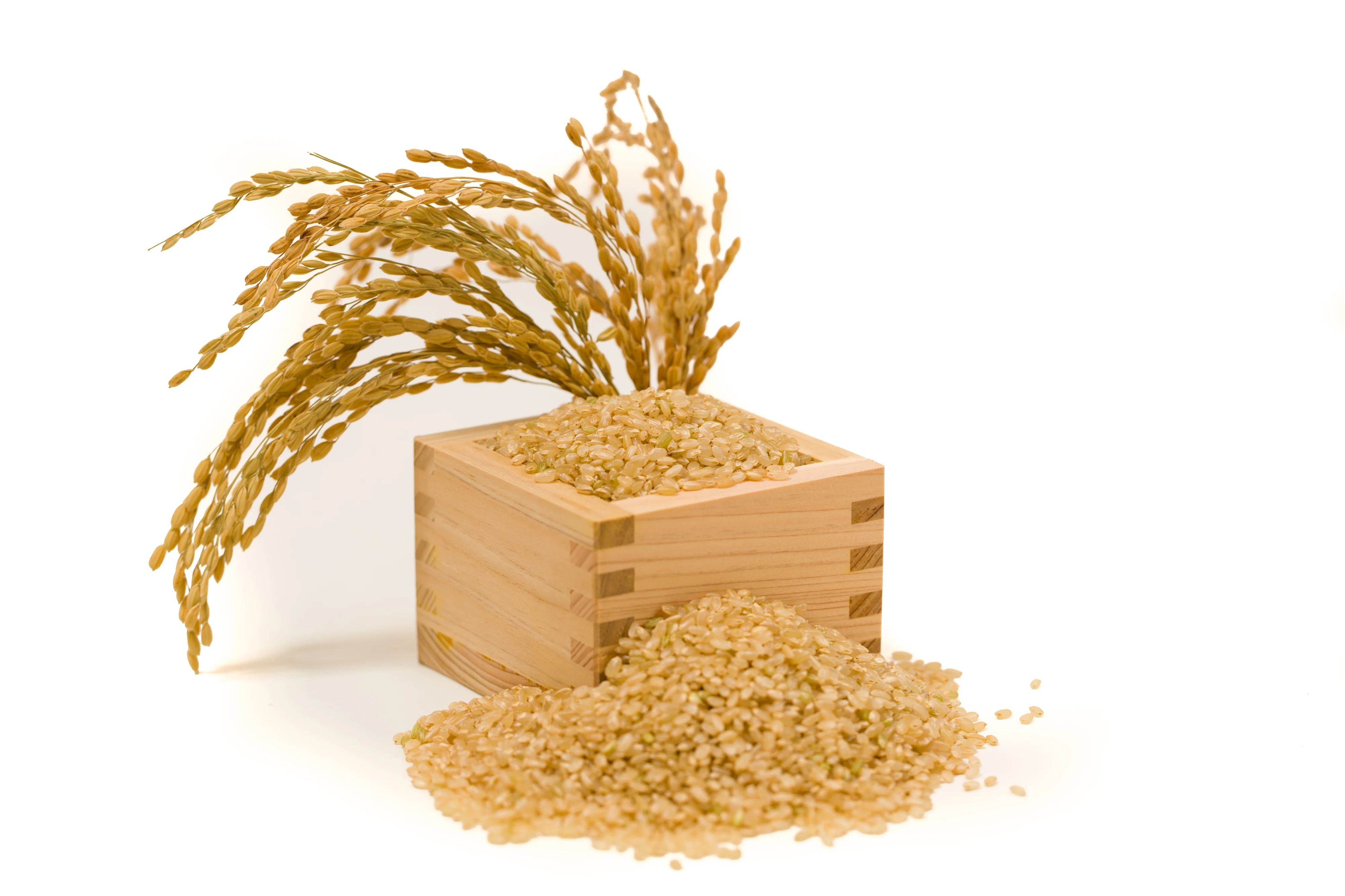 Hokkaido rice bran mask cleansing facial scrub hand face exfoliator cream