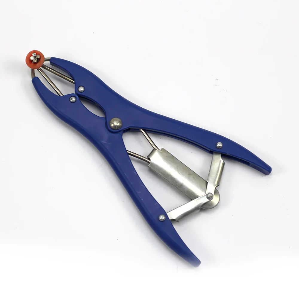 Piglets Sheep Goat Tail Goat Bloodless Castrator Bloodless Burdizzo Castration