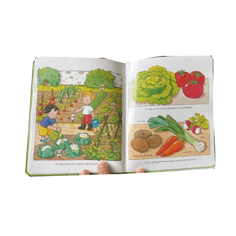 English And Maths Best Hot Selling Bilingual Children Book Printing For Toddlers
