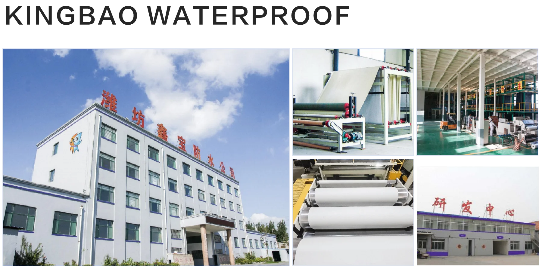 High Quality Waterproof Polymer Epoxy Polyurethane Core Paint Invisible for Outdoor Bathroom Use Water Resistance Concrete Walls